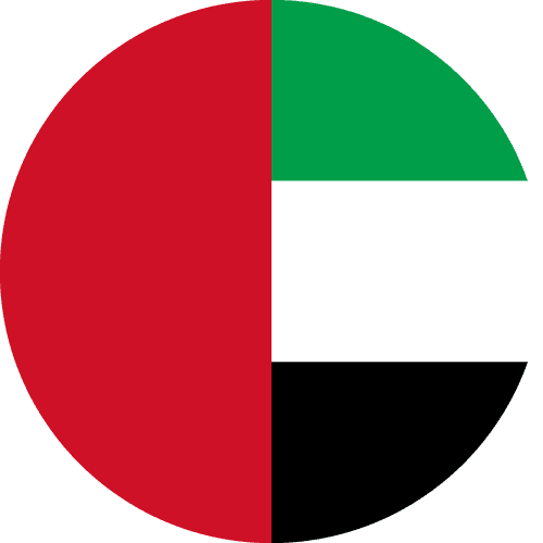 UAE flag